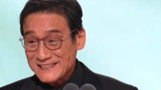 强条是什么意思啊